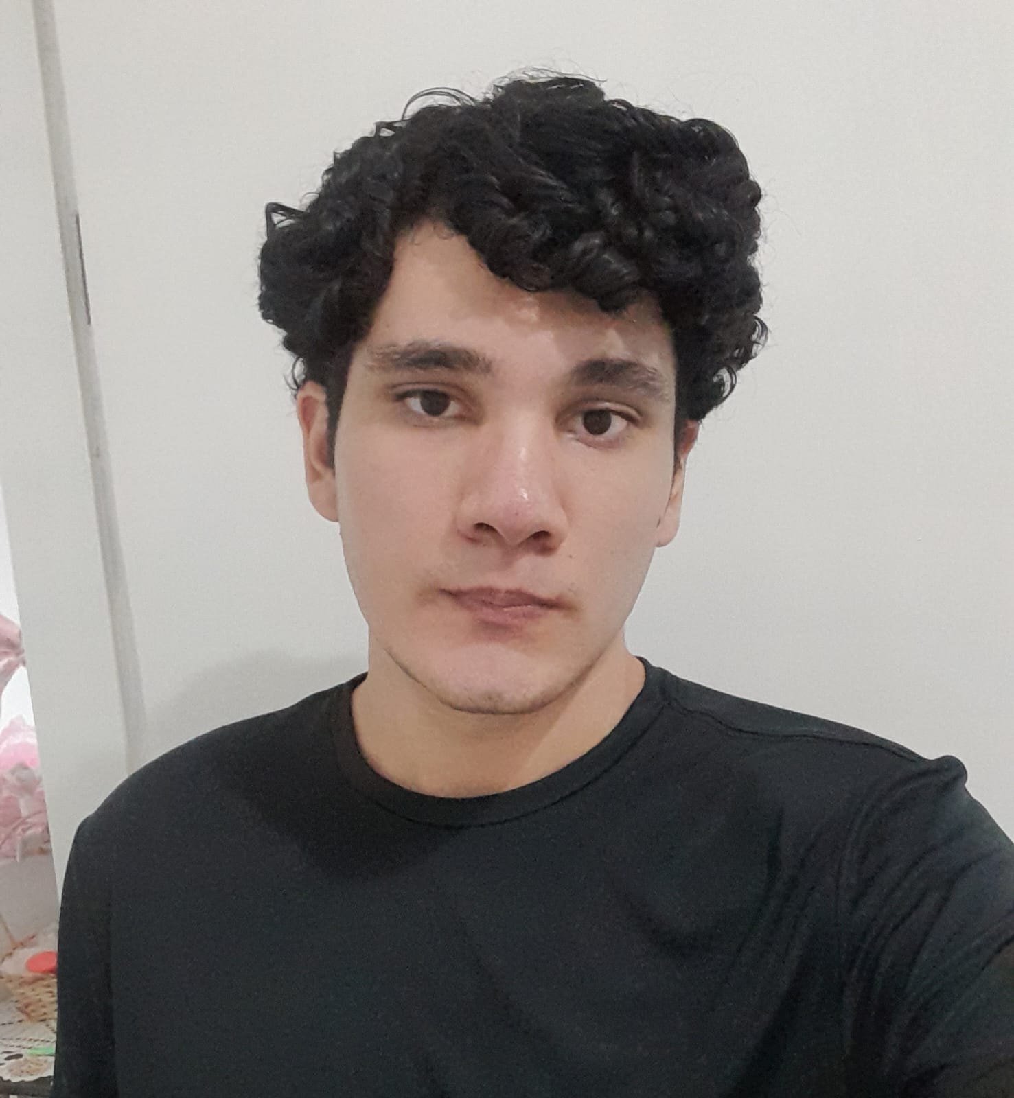 João Gabriel Ferreira Borges